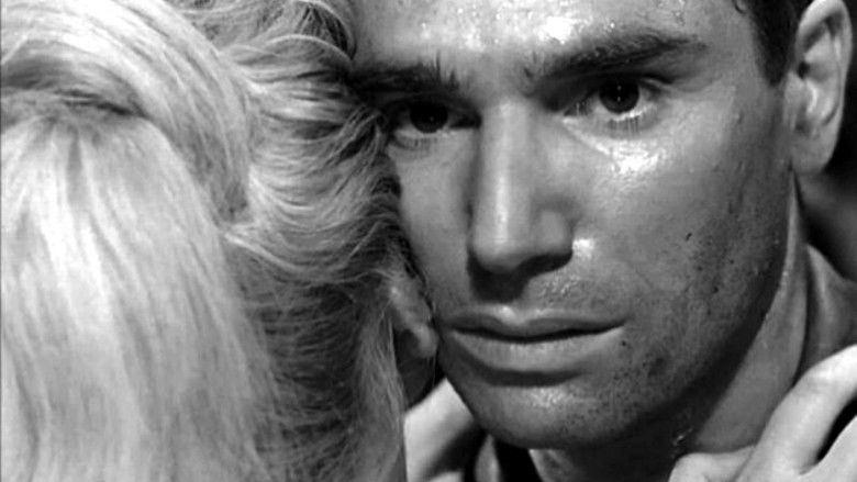 The Road to Shame still 4