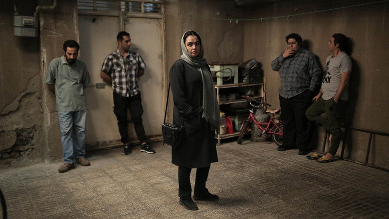 Leila's Brothers still