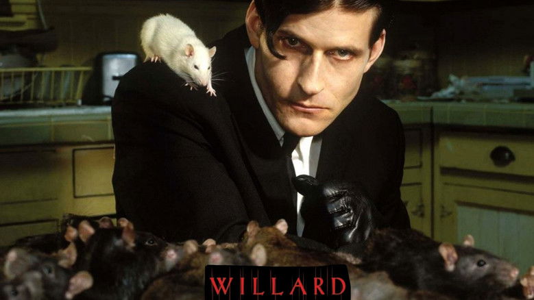 Willard still