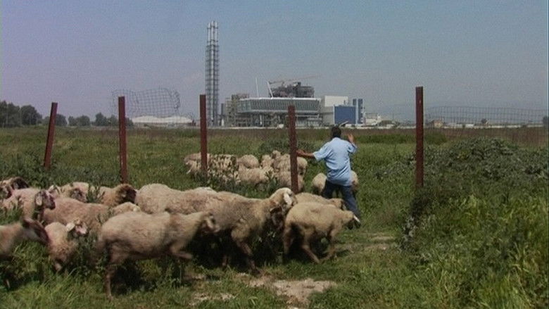 Biùtiful Cauntri still