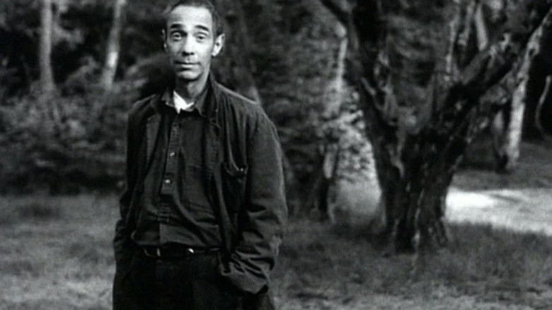 The Clearing still 1