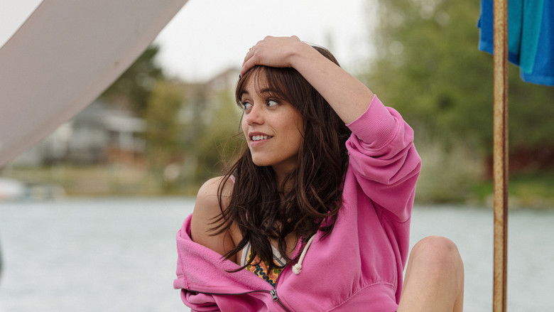 Winter Spring Summer or Fall still