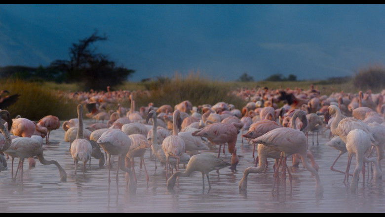 Enchanted Kingdom still