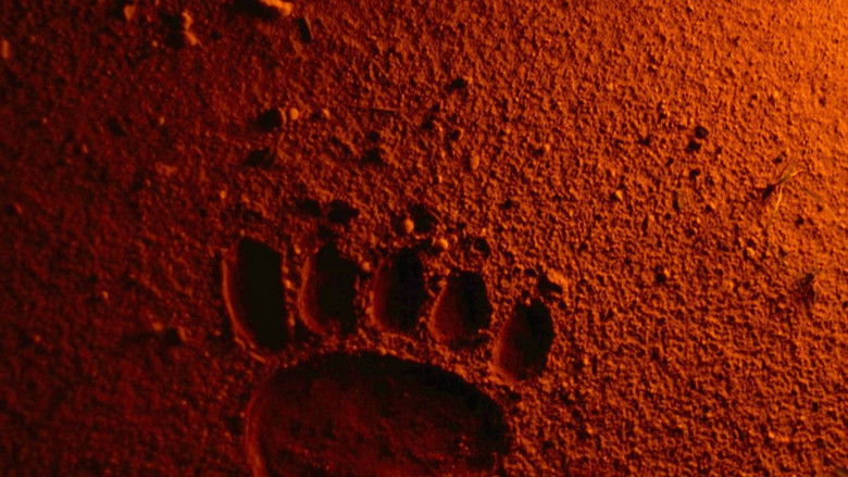 Bears Discover Fire still 1