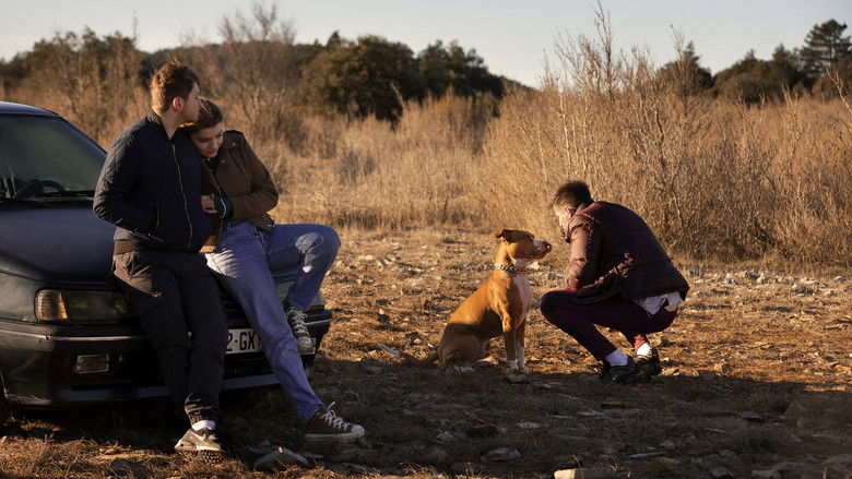 Junkyard Dog still 4