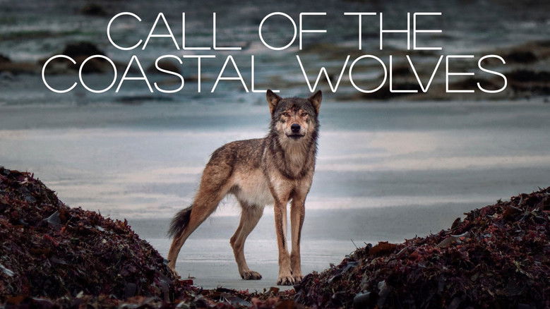 Call Of The Coastal Wolves still 1