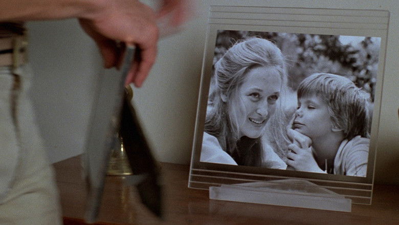 Kramer vs. Kramer still