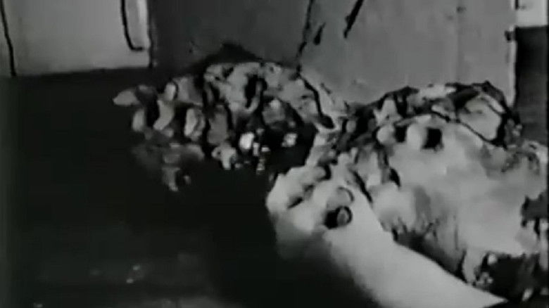 Debbie Does Damnation still 2