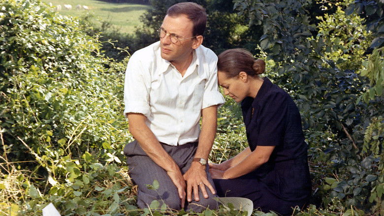 The Last Train still 2