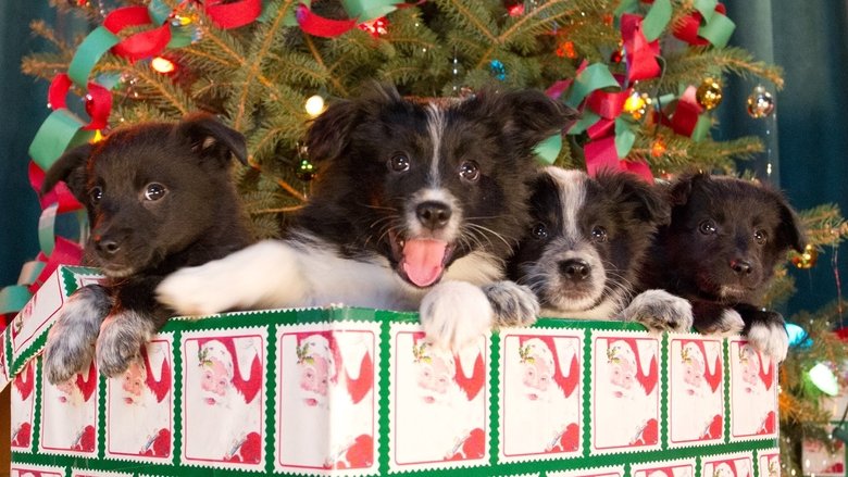 12 Dogs of Christmas: Great Puppy Rescue still 1