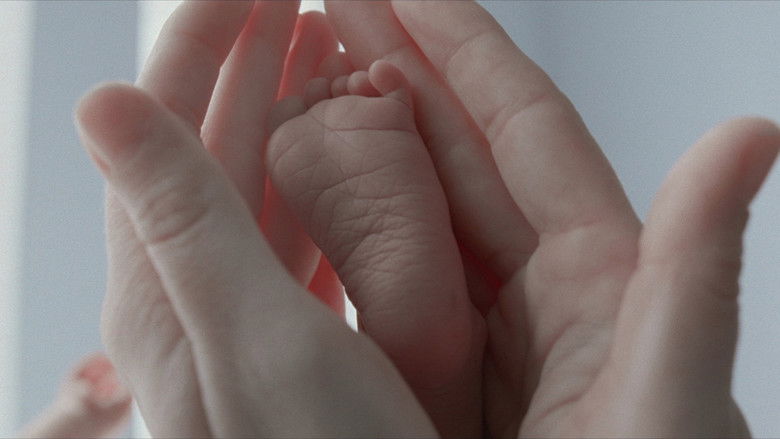 The Tree of Life still