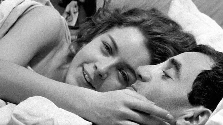 Shoot the Piano Player still