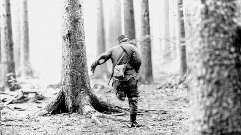 Europe's Deadliest Border: Czechoslovakia's Iron Curtain still