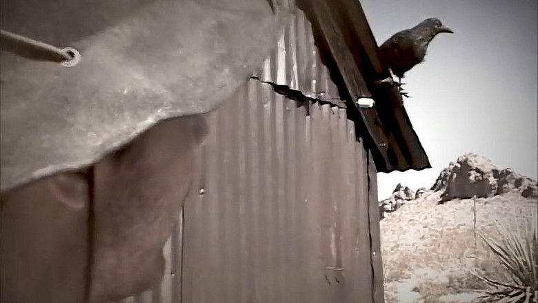 Roland Meets Brown still