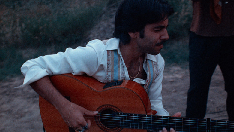 The Flamenco Guitar of Yerai Cortés still 4