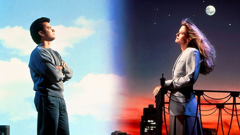 Sleepless in Seattle still