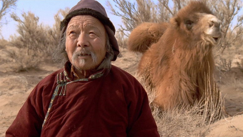 The Story of the Weeping Camel still 1