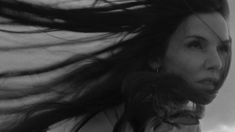 To the day I die (songs of the sea) still