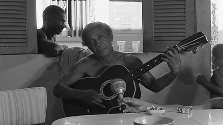 Nelson Cavaquinho still