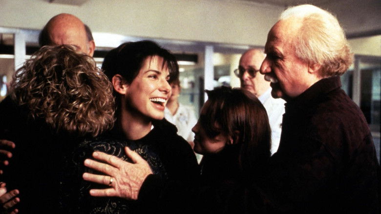 While You Were Sleeping still