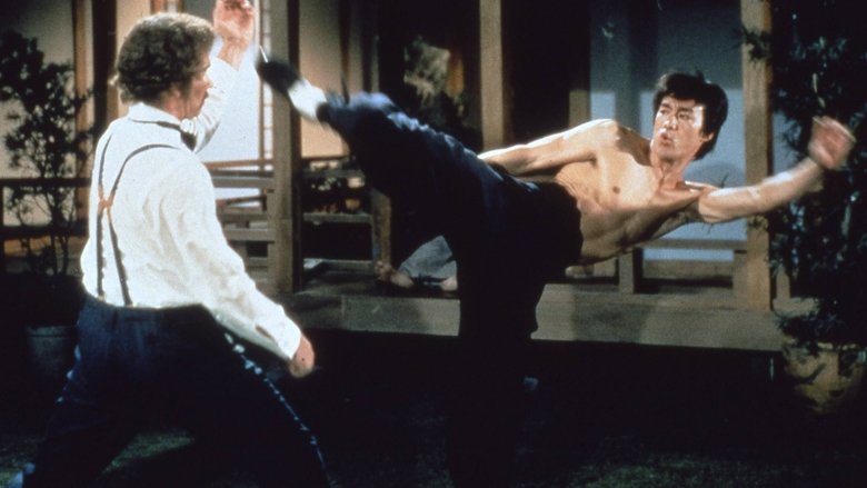 Fist of Fury still