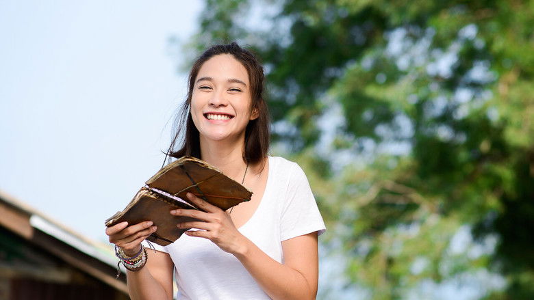 The Teacher's Diary still 2