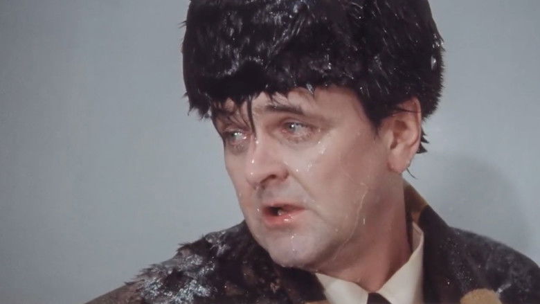 The Irony of Fate, or Enjoy Your Bath! still