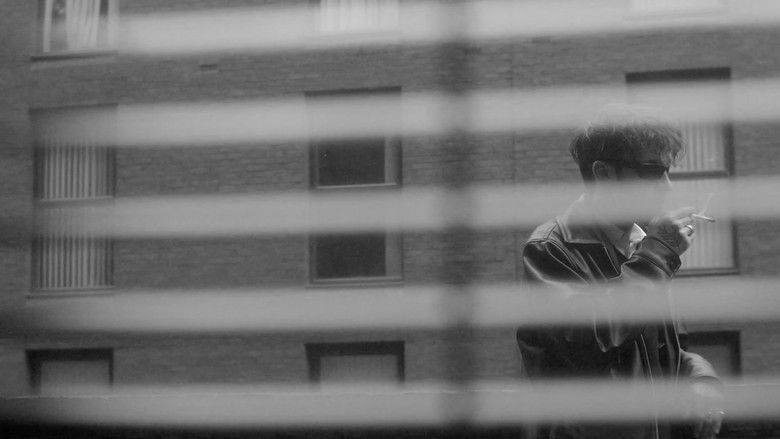 The Art of Division still 1