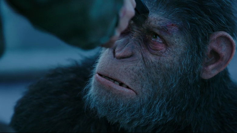 War for the Planet of the Apes still 4