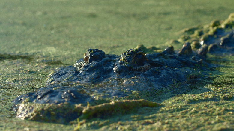 Lake Jesup: Bonecrusher's Revenge still 3