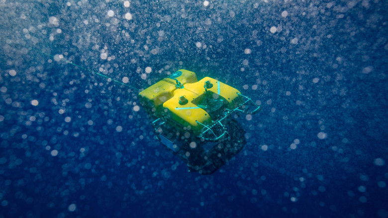 Expedition Amelia still