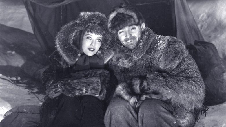 Call of the Wild still