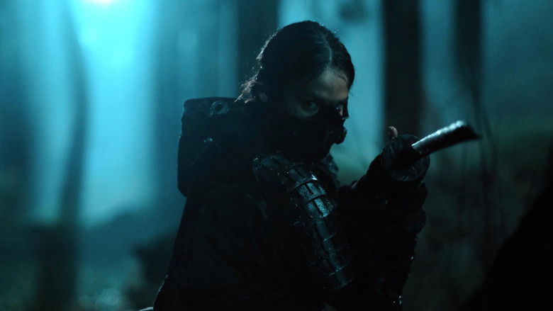 The Shadow Strays still