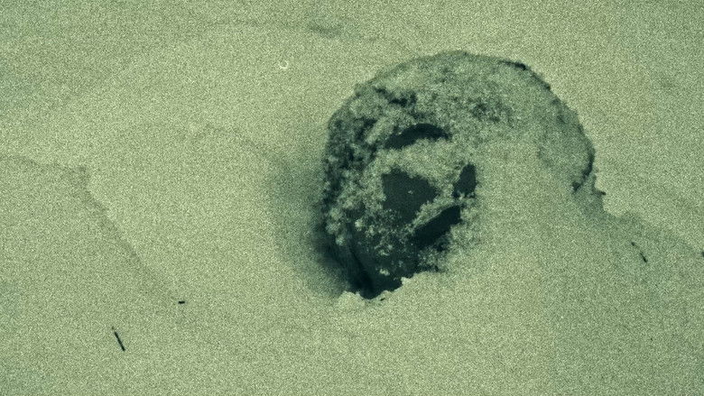 Tommy The Smoker still