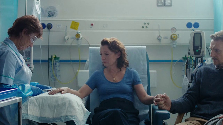 Ordinary Love still 3