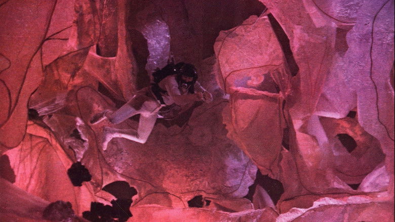 Fantastic Voyage still