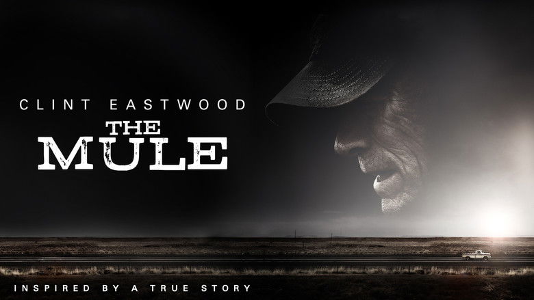 The Mule still