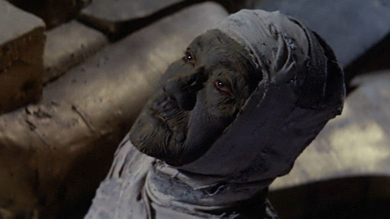 Assignment Terror still 3