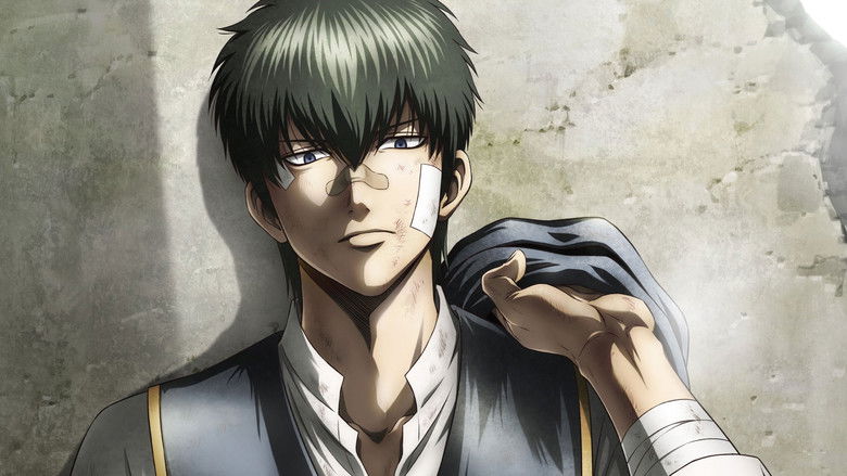 Gintama on Theater 2D: Baragaki-hen still