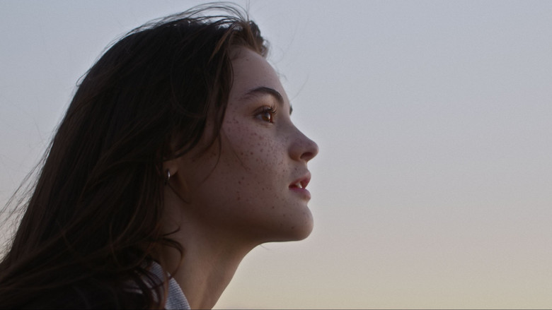 3391 Kilometers still 2