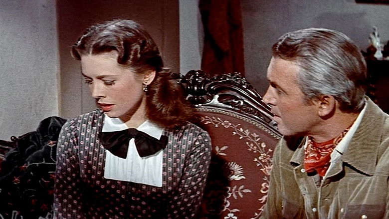 The Man from Laramie still