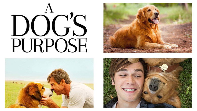 A Dog's Purpose still