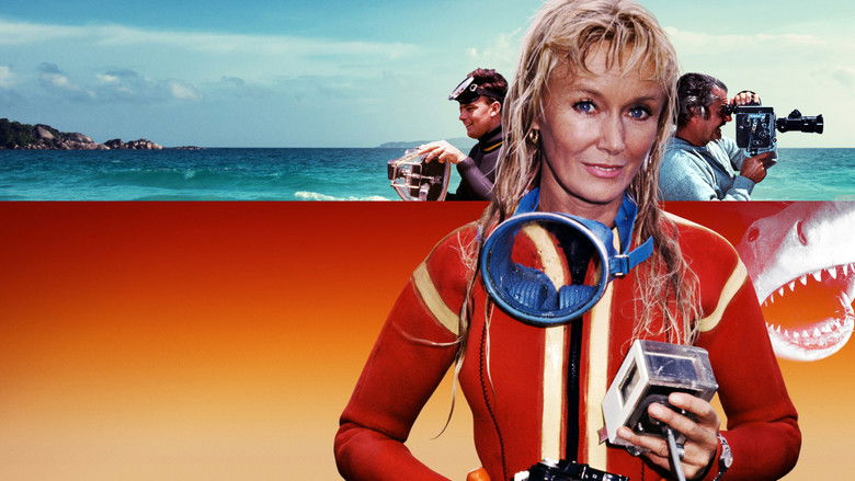 Playing with Sharks still