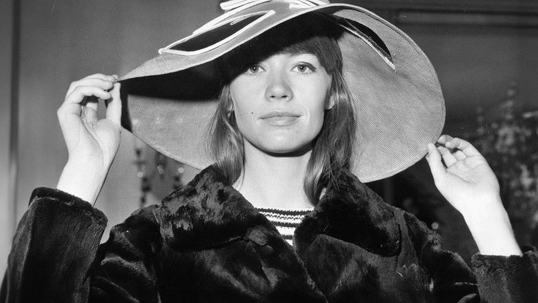 Françoise Hardy : tant de belles choses still 2