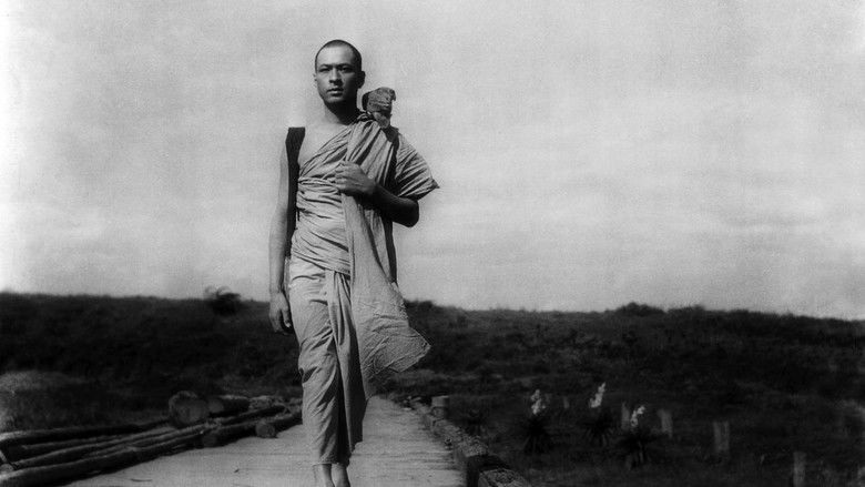 The Burmese Harp still