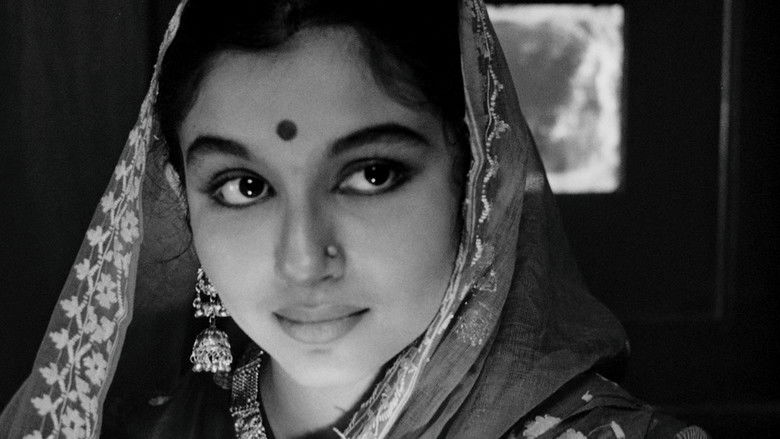 The World of Apu still