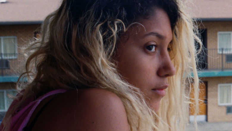 Summer Animals still 1