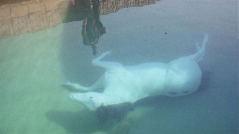 The Day of the Locust still 3