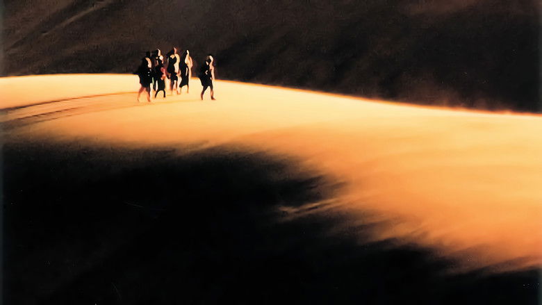 The King Is Alive still 1