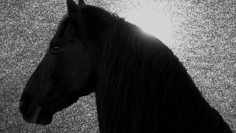 Absent Now the Dead still 1